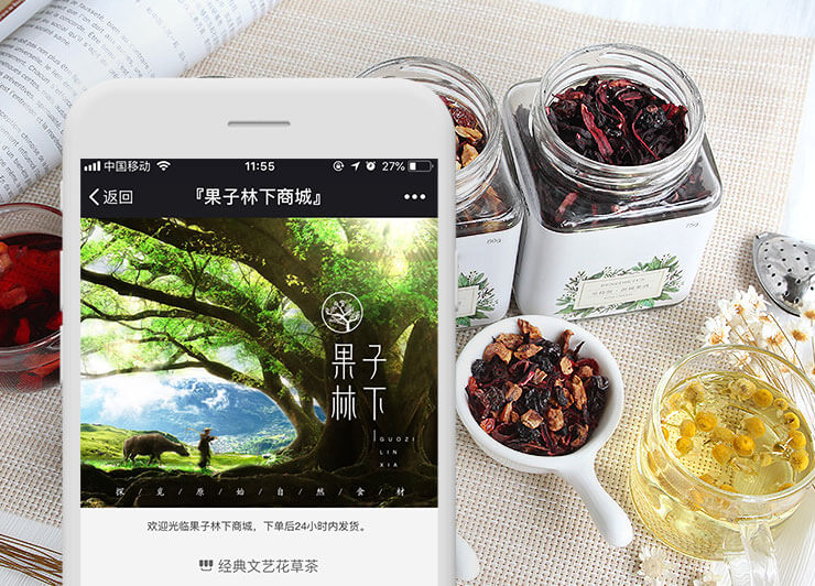 果子林下商城